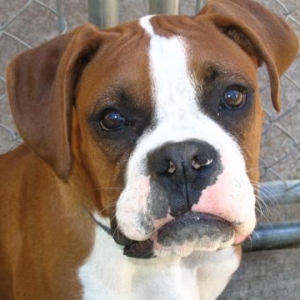 Cooper at Daycare