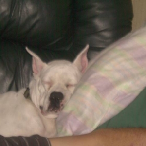 Bently's Mom