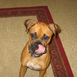 Cookie crumbs on my nose?