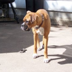 Love my Zeus!