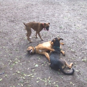 Tired Out!!!!