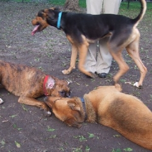 Kaybie & Cubby