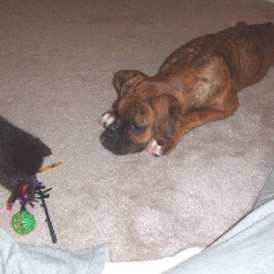 Can I play too?
