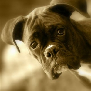 So So Sad.........