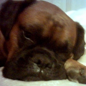 sleeping