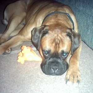Samson1
