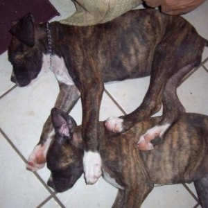 Cuddles and Toots!