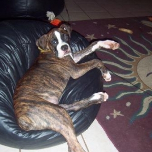 Toots loves her bean bag!