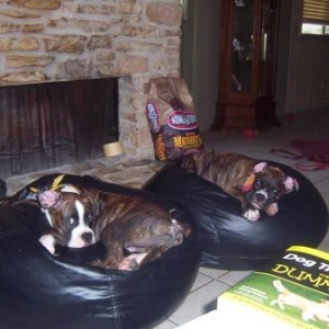 My girls in there beanbags!