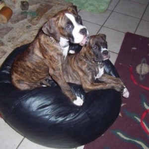 Two cute!
