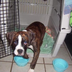 Toots crate