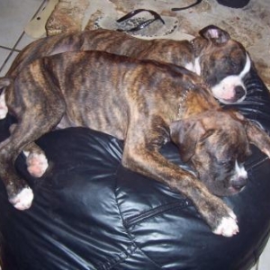 Nap time