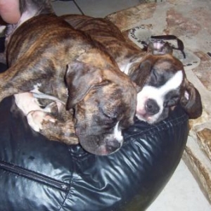 I luv sissy!