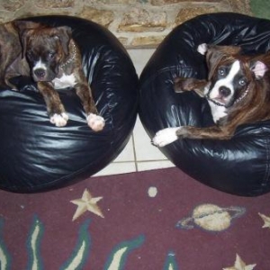 Bean bags rock!