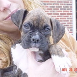 7weeks