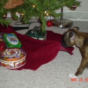 Christmas