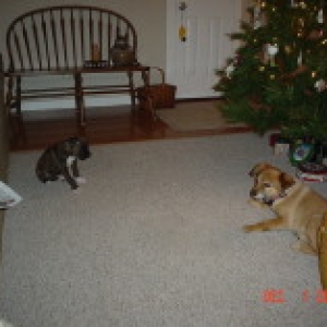 Stand off