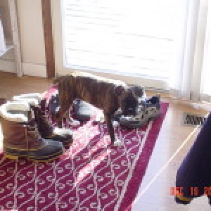 Smaller than the boot