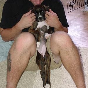Bradlee's Puppy Pictures