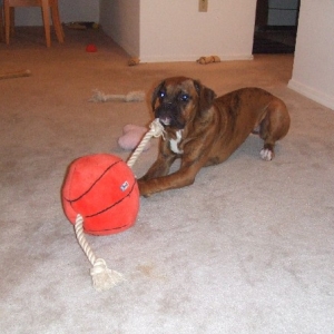 Kaybie's Favorite Toy