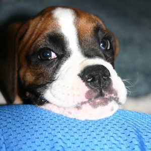 resting on mom's leg