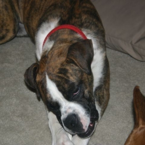 Rescue girl