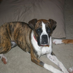 Molly