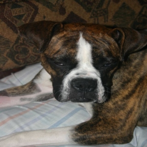 Exhausted
