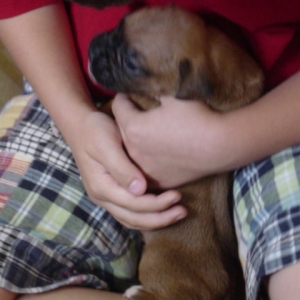 Cairo 3 weeks old