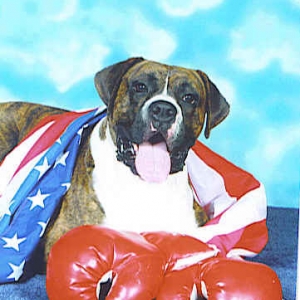 Born in the Usa
