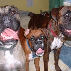 Vegas, Zeb & Lola hijacking nannies bed