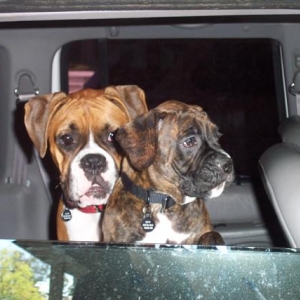 Where are we going?