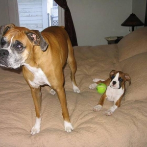 Rudy and Zoe on bed2