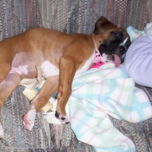 Sophie Sleeping with her tongue out