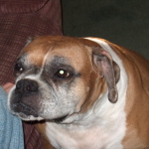 Lucy