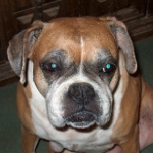 Lucy