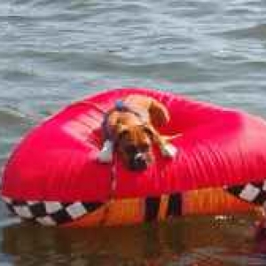 Goin' tubin'