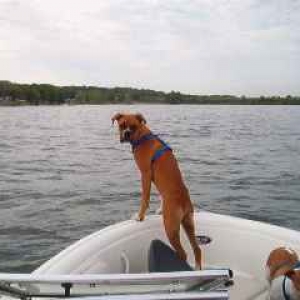 Mom, look all this water!!