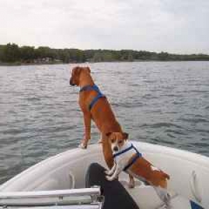 Land ahead!!!