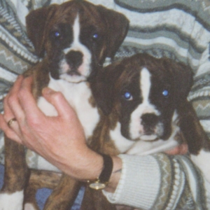 Bruce&Helga at 12 weeks