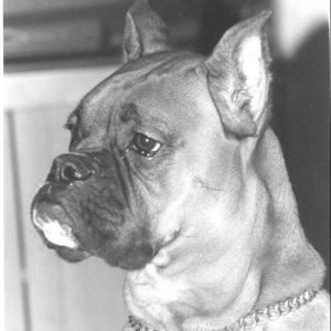 Hutch.... My heart is touched