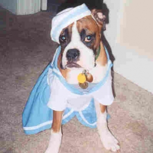 Sailor dress