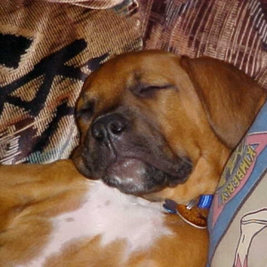 Mom im tired