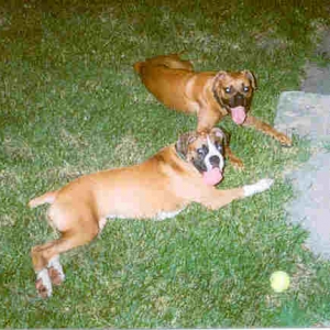 Mabel & Kaiser