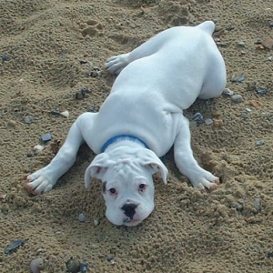 First Time By the Sea