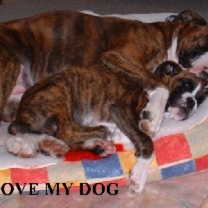 emma and bertie