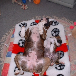 sleeping it off