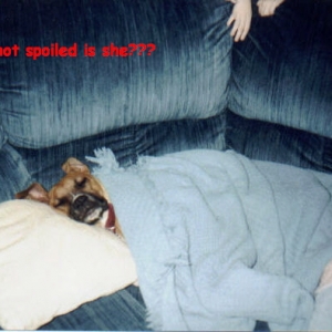 All tucked in for a nap!