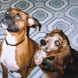 Grandma Meisha and Gracie!