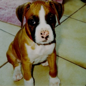 Bruno posing